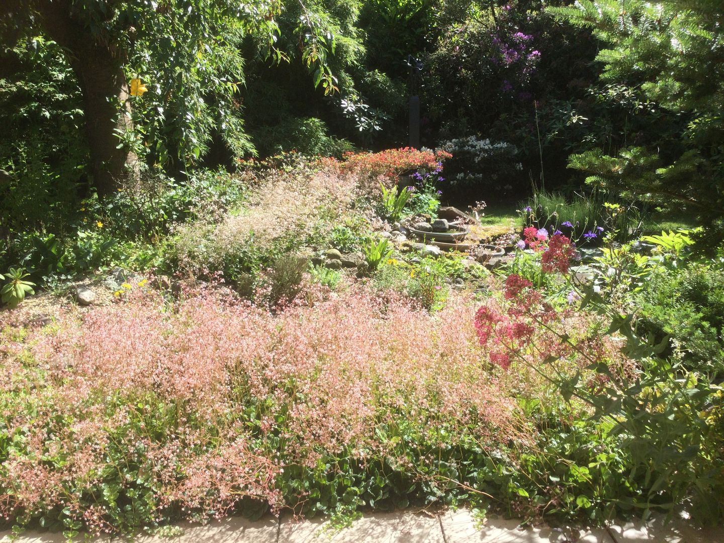 Foto 59 van Molenbosch 2