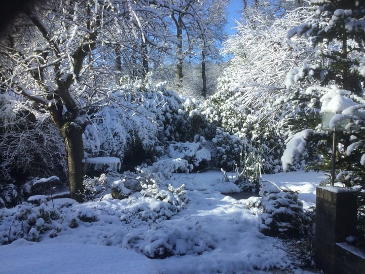 Foto 60 van Molenbosch 2