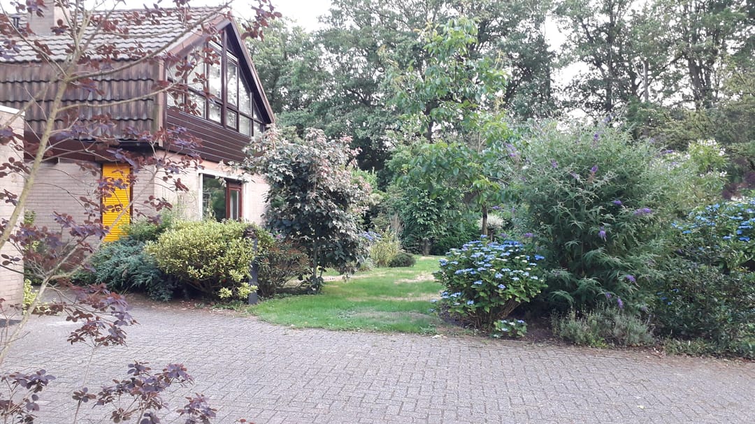 Foto 61 van Molenbosch 2