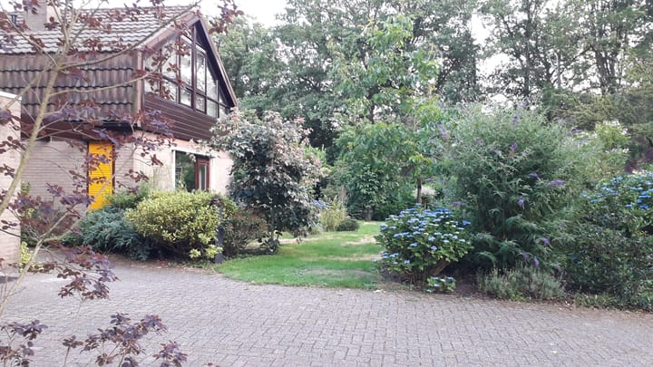 Foto 61 van Molenbosch 2