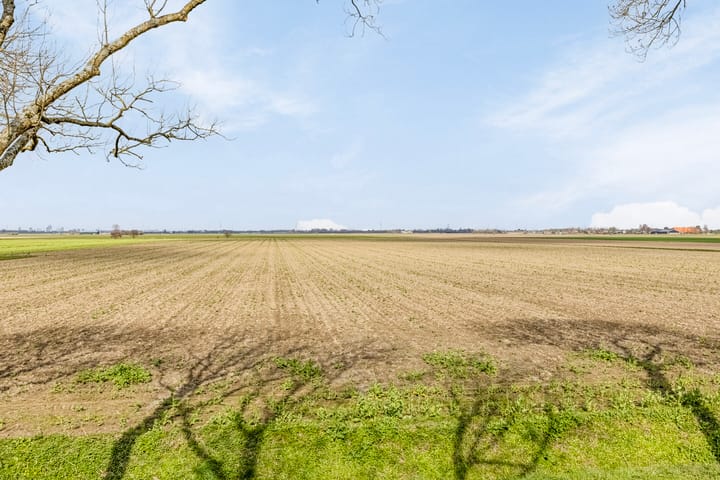 Photo 15 of Zuidzijdsedijk 60