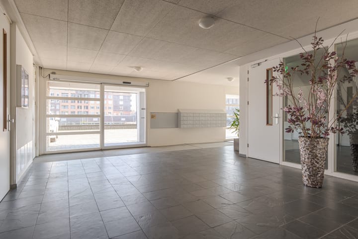 Foto 44 van Sterrenkroos 173