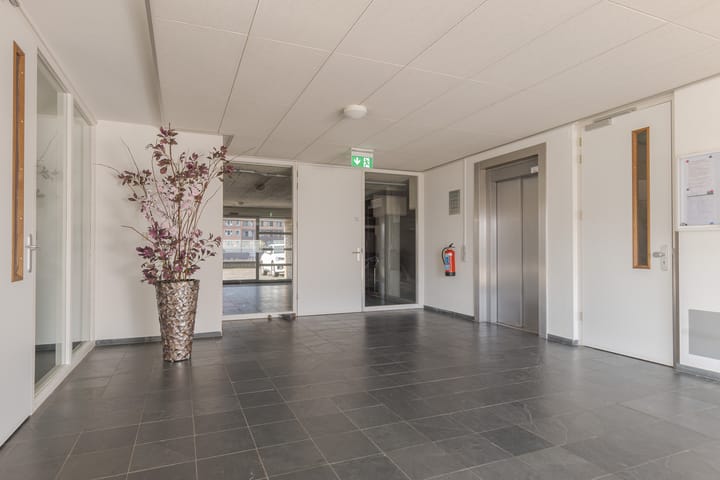 Foto 45 van Sterrenkroos 173