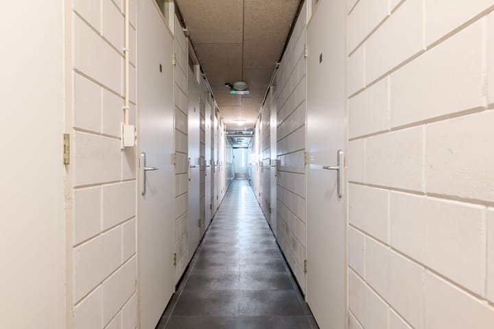 Foto 46 van Sterrenkroos 173