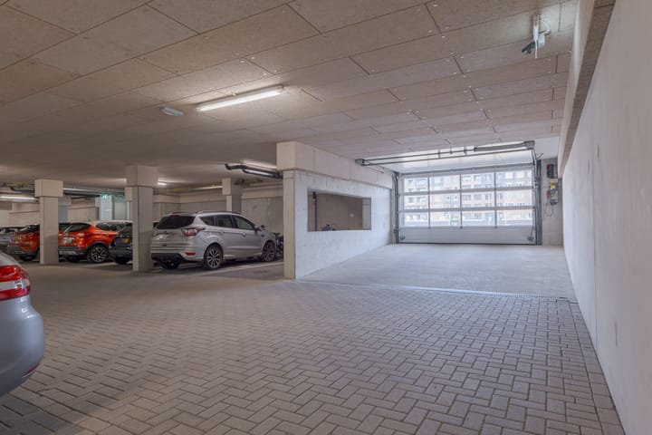 Foto 50 van Sterrenkroos 173