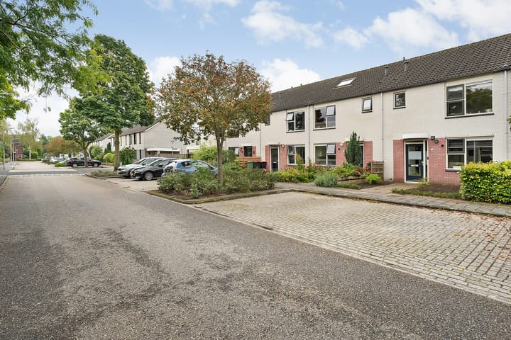 Foto 1 van Boterbloem 14