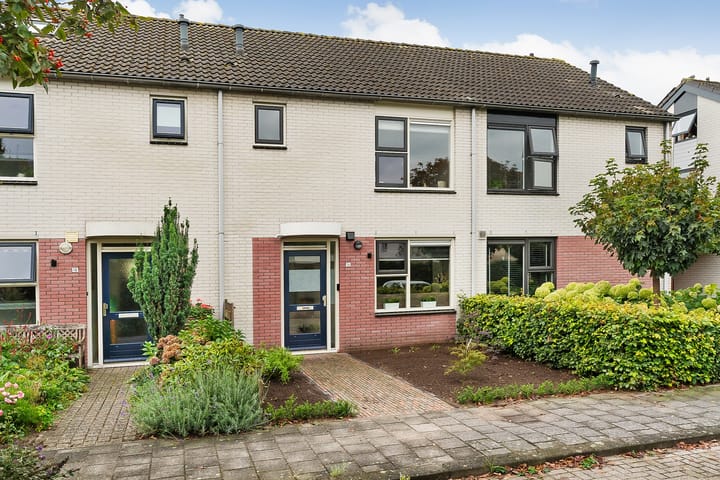 Foto 2 van Boterbloem 14