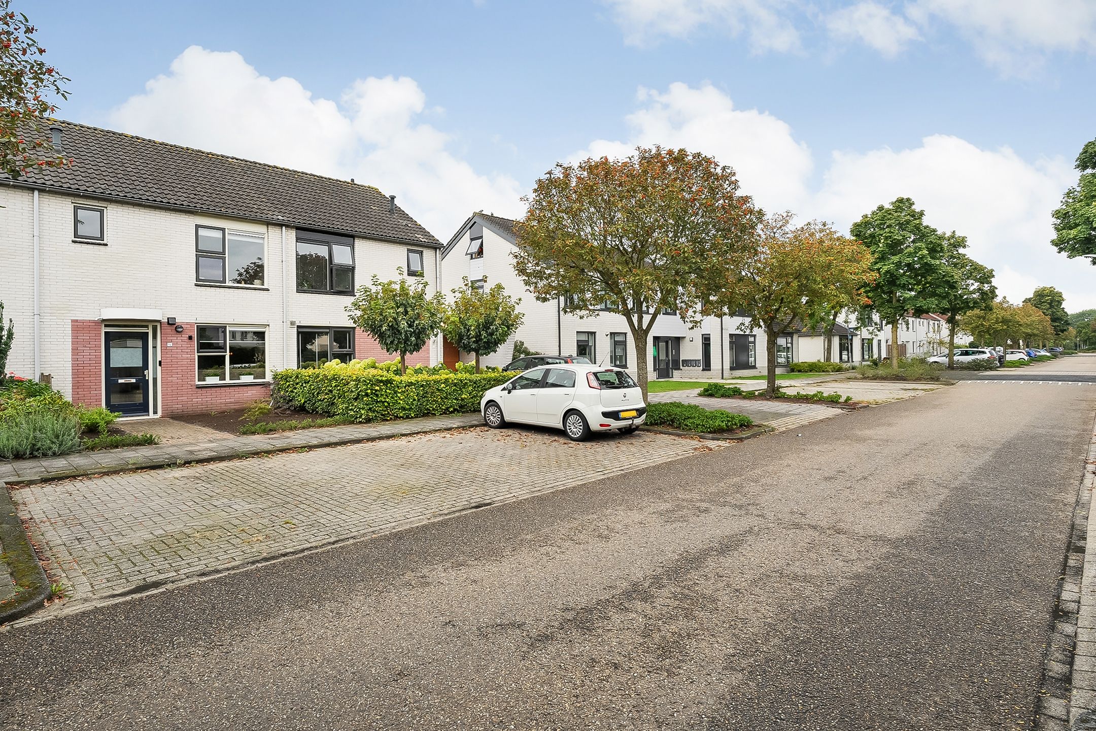 Foto 3 van Boterbloem 14