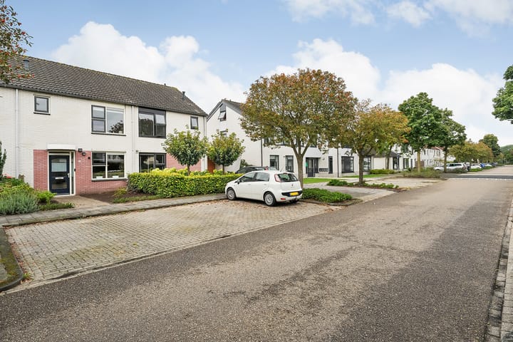 Foto 3 van Boterbloem 14