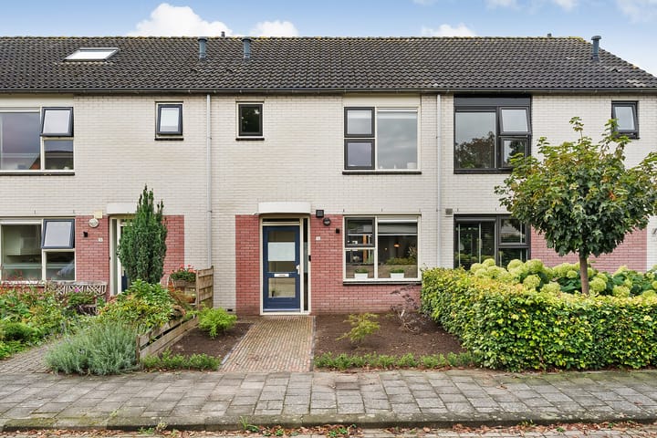 Foto 5 van Boterbloem 14