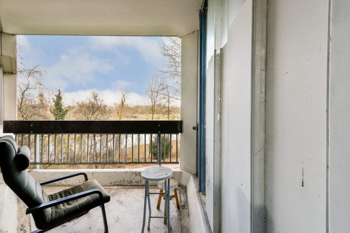 Foto 13 van Gouden Leeuw 724