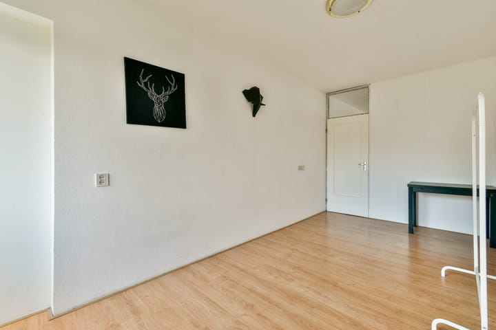 Foto 21 van Gouden Leeuw 724