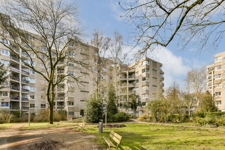 Foto 24 van Gouden Leeuw 724