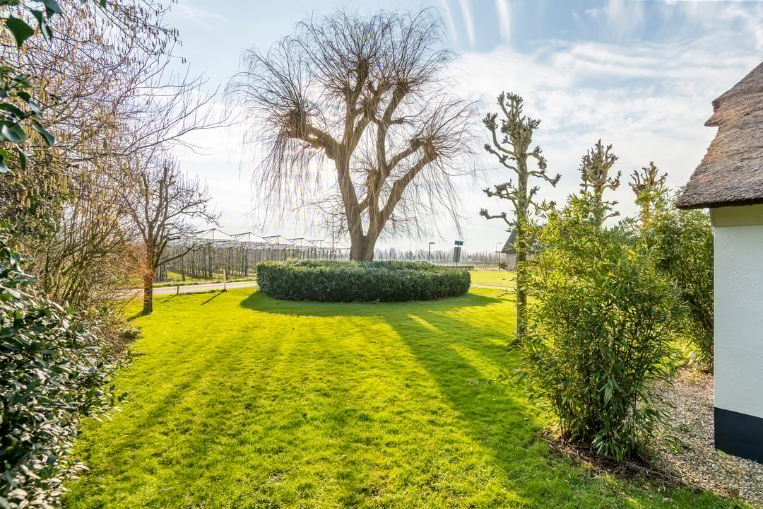 Foto 41 van Hoge Dijkseweg 12