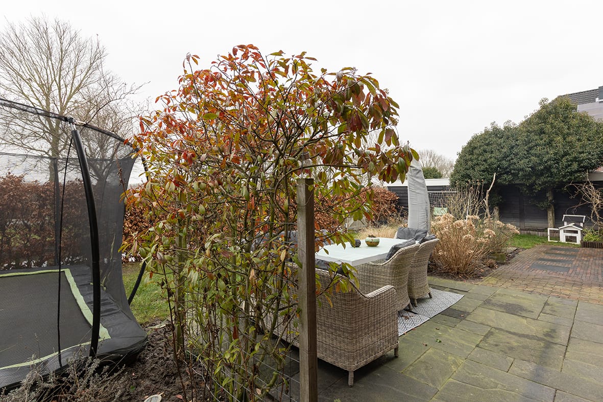 Foto 64 van Matjador 1