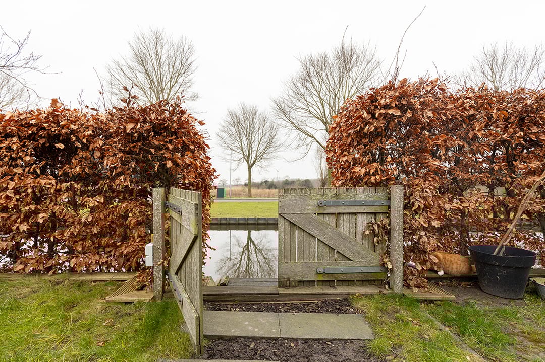 Foto 67 van Matjador 1