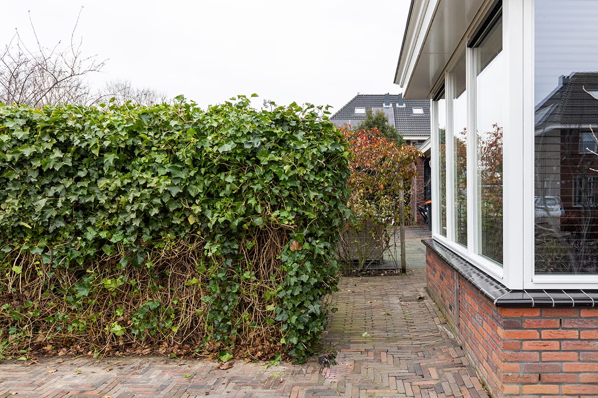 Foto 72 van Matjador 1