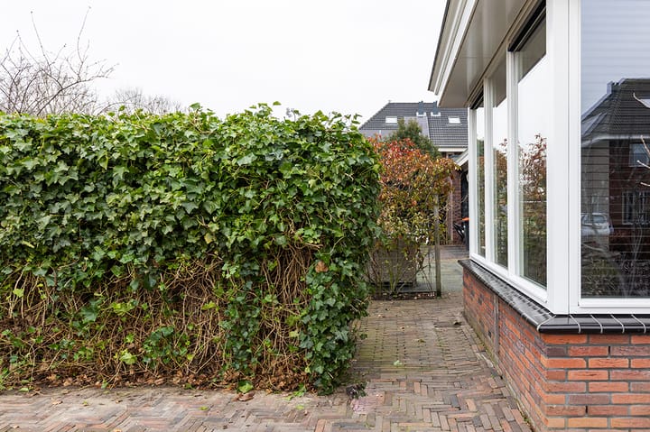 Foto 72 van Matjador 1