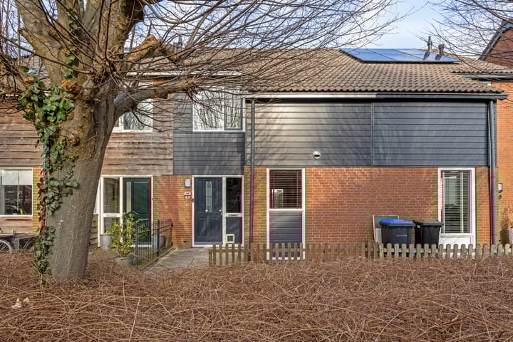 Foto 2 van Hoornblad 8