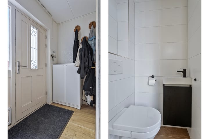 Foto 4 van Hoornblad 8