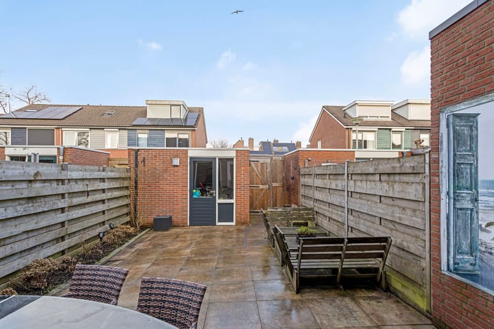 Foto 10 van Hoornblad 8