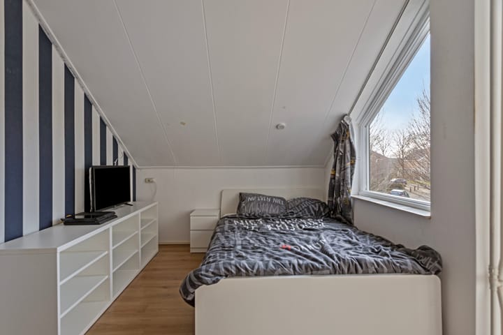 Foto 18 van Hoornblad 8