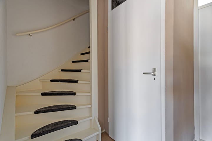 Foto 23 van Hoornblad 8