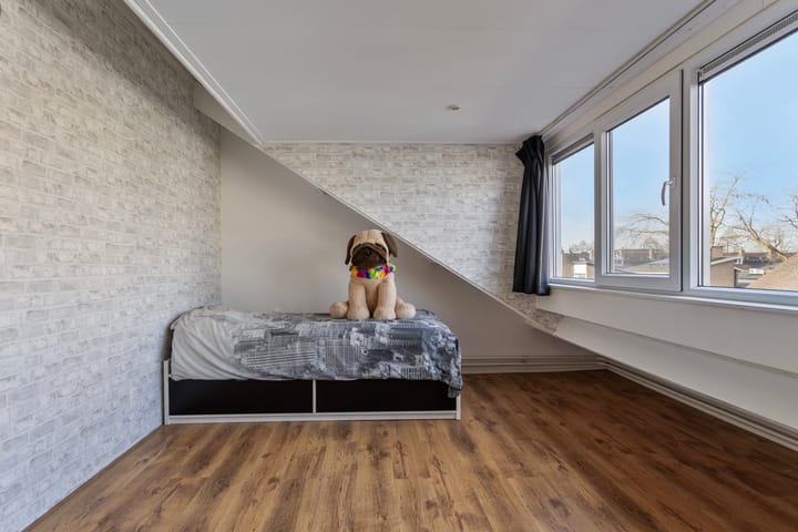 Foto 24 van Hoornblad 8