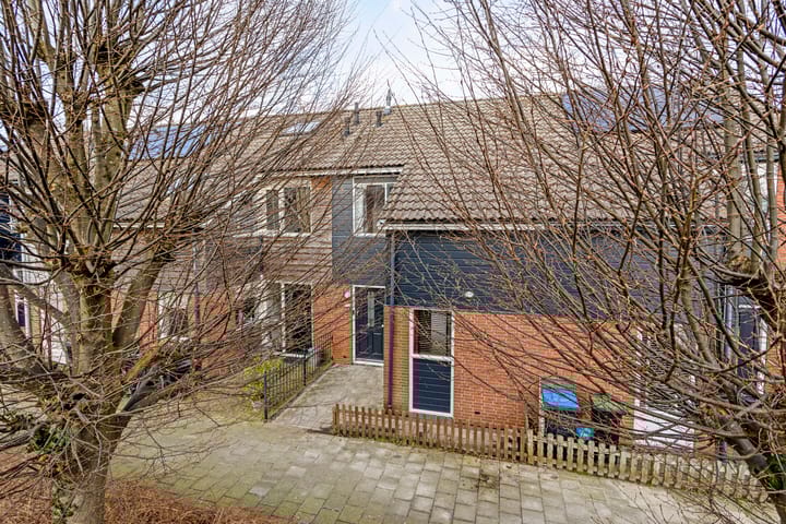 Foto 26 van Hoornblad 8