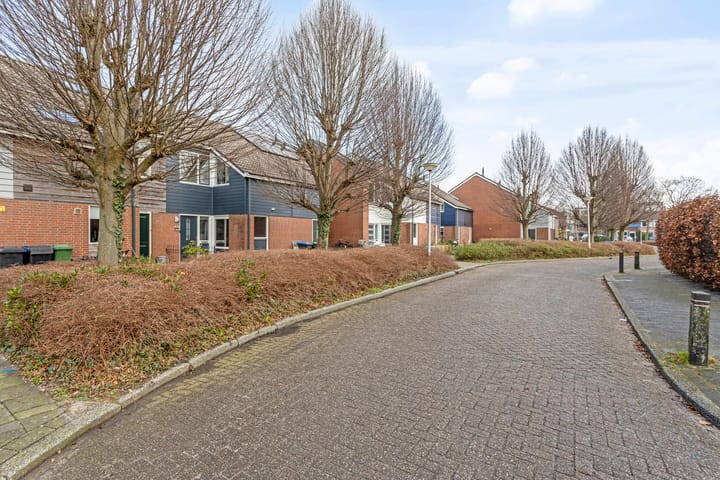 Foto 27 van Hoornblad 8