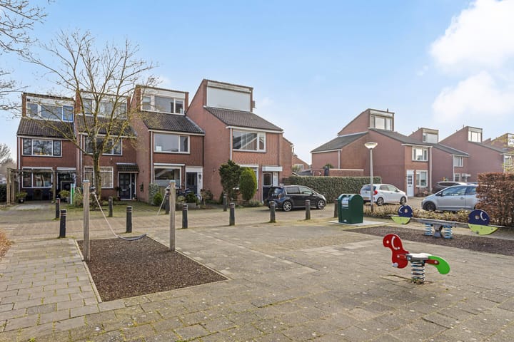 Foto 28 van Hoornblad 8