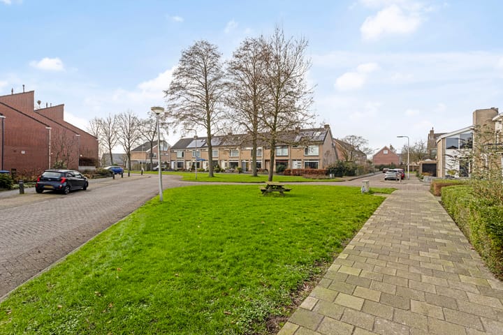 Foto 29 van Hoornblad 8