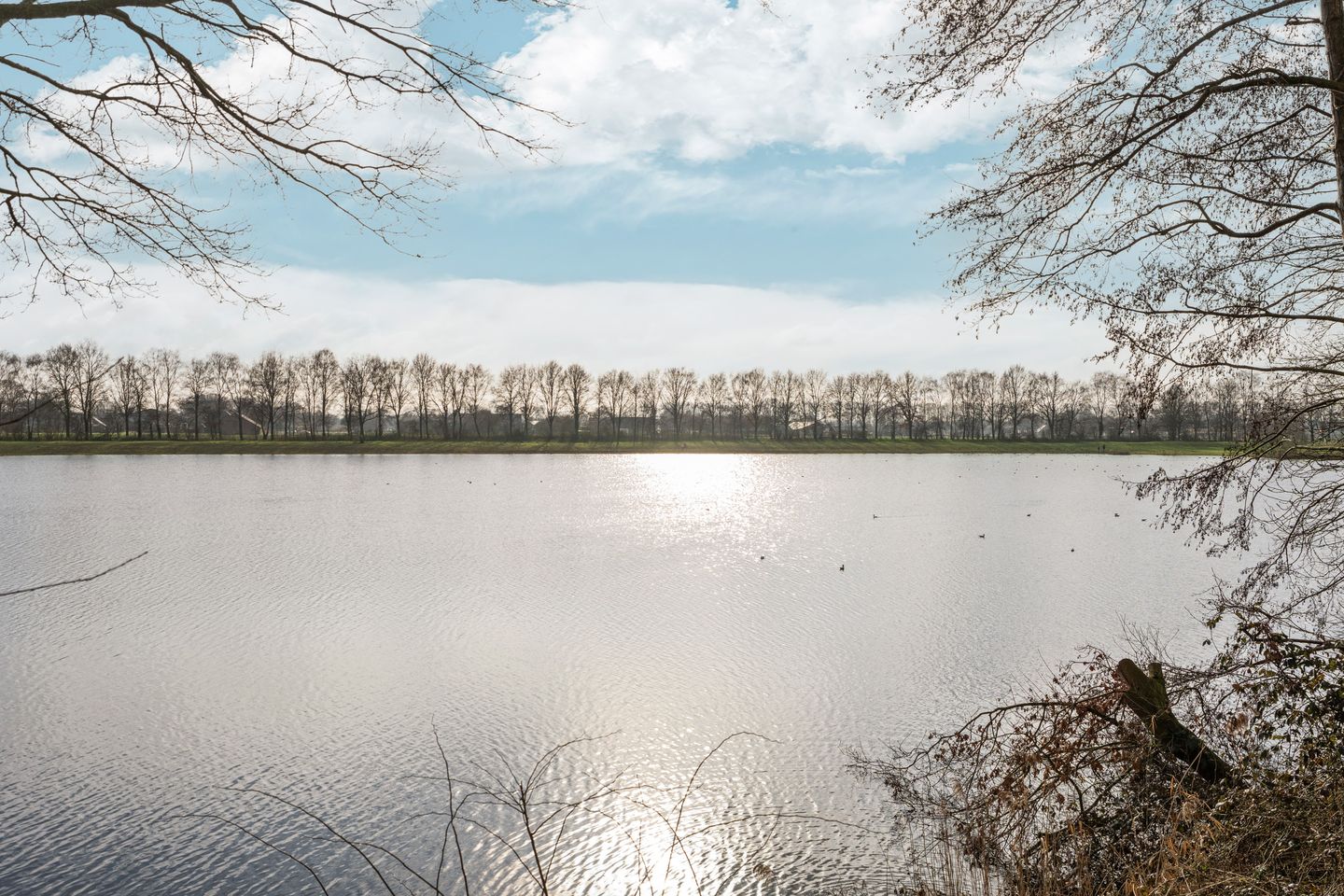 Photo 50 of Polstraat 56