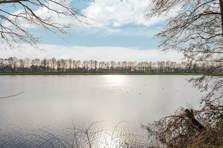 Foto 50 van Polstraat 56