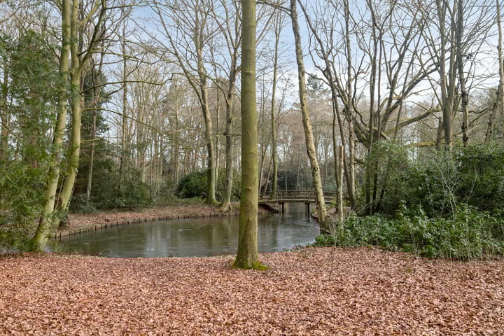 Photo 37 of Willem de Zwijgerlaan 49