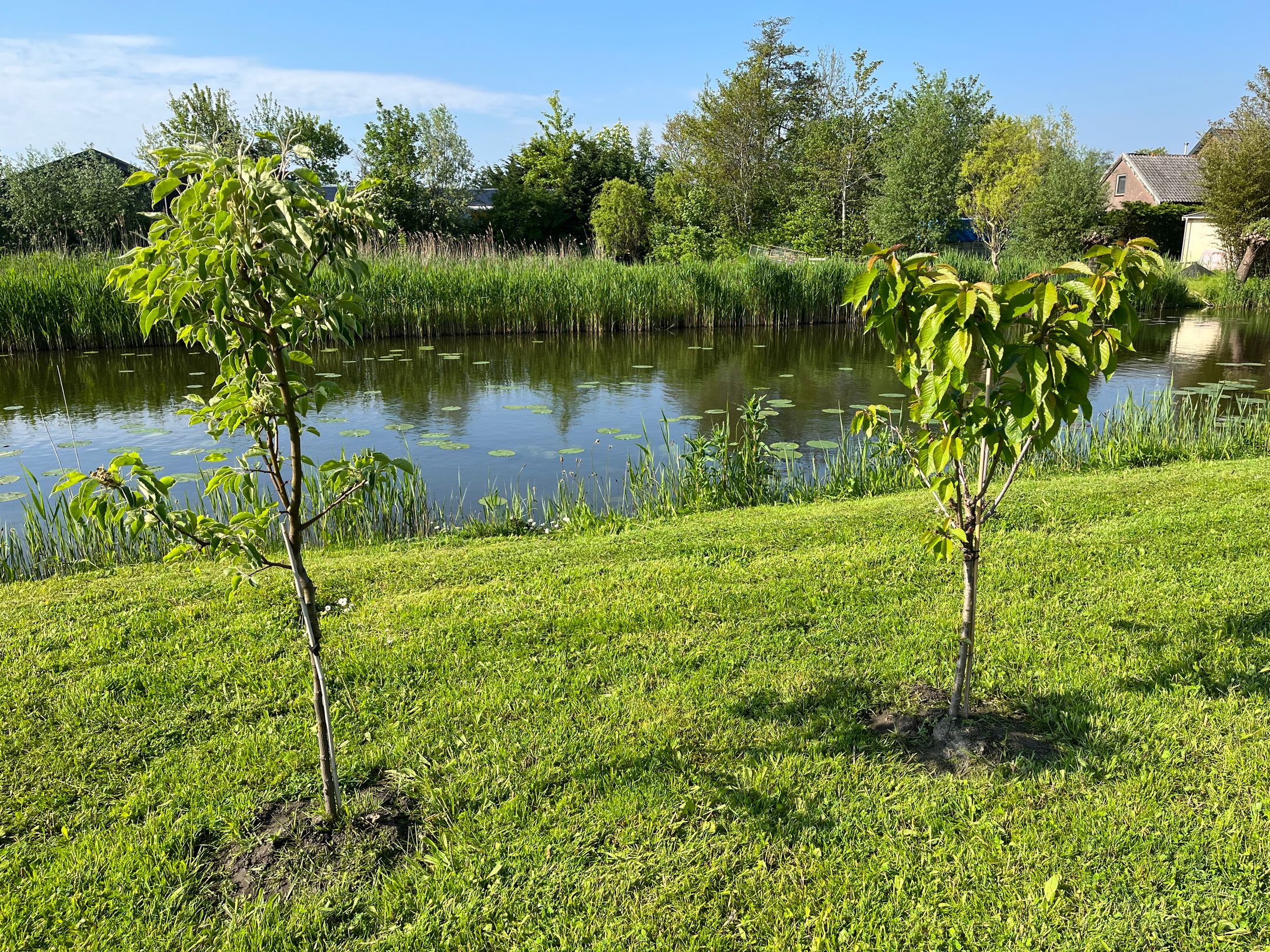 Foto 54 van Voorburggracht 49