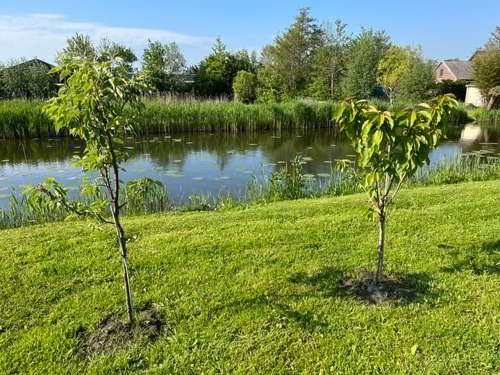 Foto 54 van Voorburggracht 49