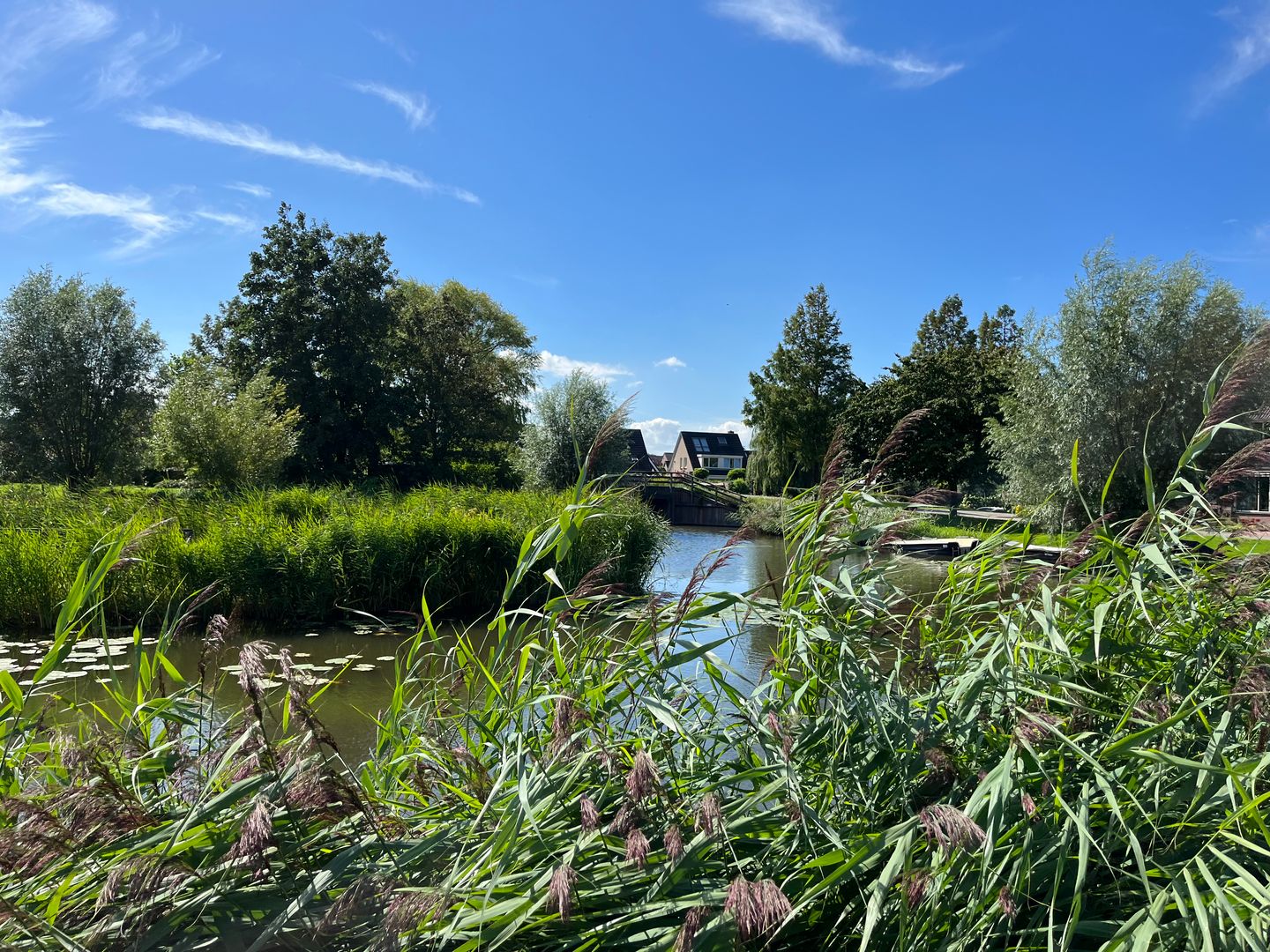 Foto 55 van Voorburggracht 49