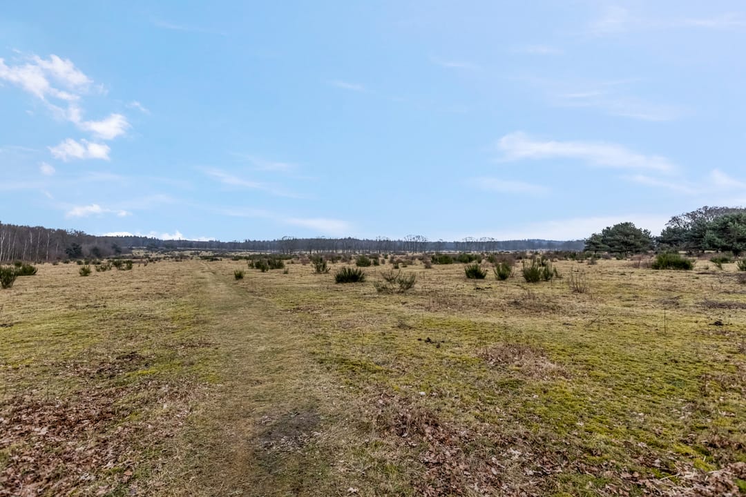 Foto 2 van Zwijnsbergen 27