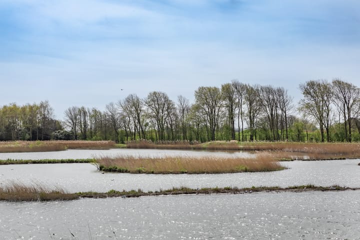 Foto 29 van Erf van Odin 2