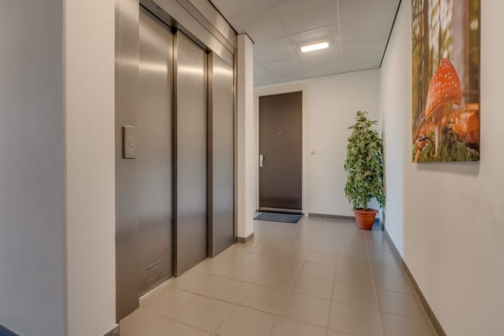 Foto 28 van Ringslang 163