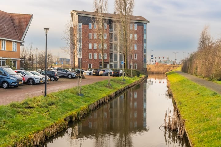 Foto 32 van Ringslang 163