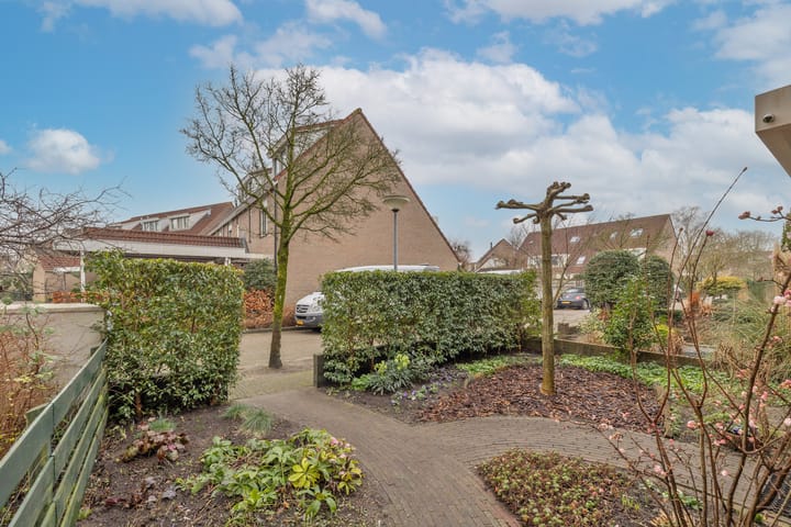 Foto 2 van Schepenen 74