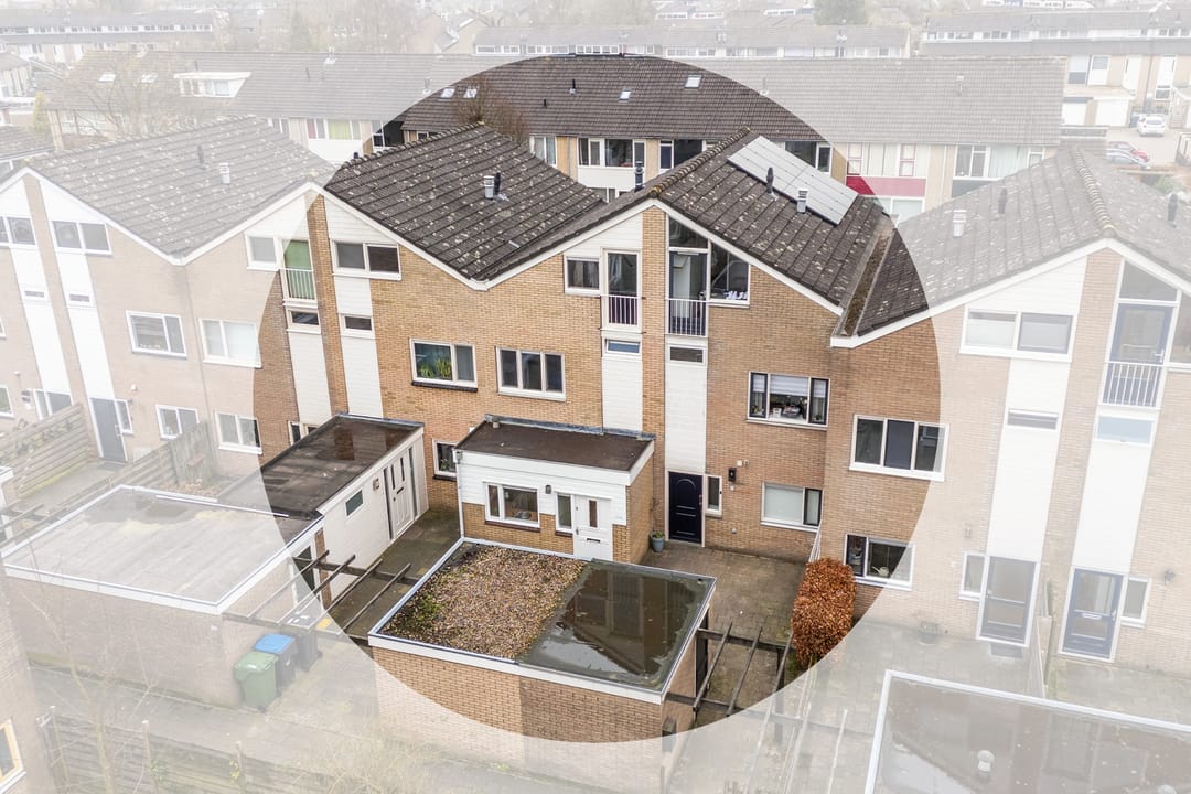 Foto 1 van Zenegroen 114