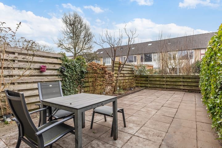 Foto 32 van Zenegroen 114