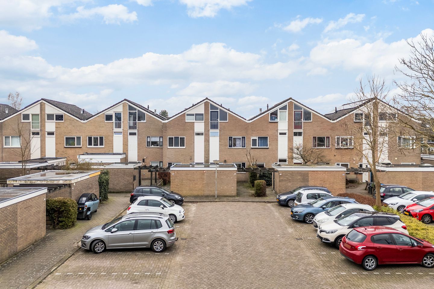 Foto 35 van Zenegroen 114