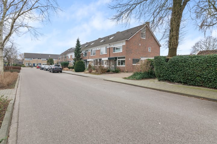 Foto 8 van Valeriaan 74