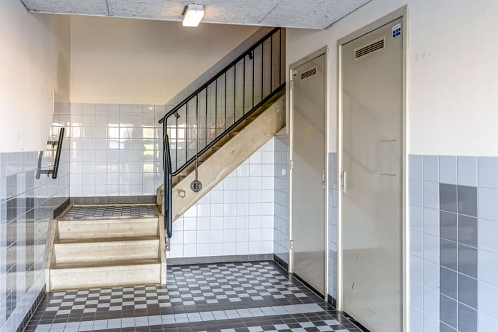 Foto 4 van Sepiastraat 4