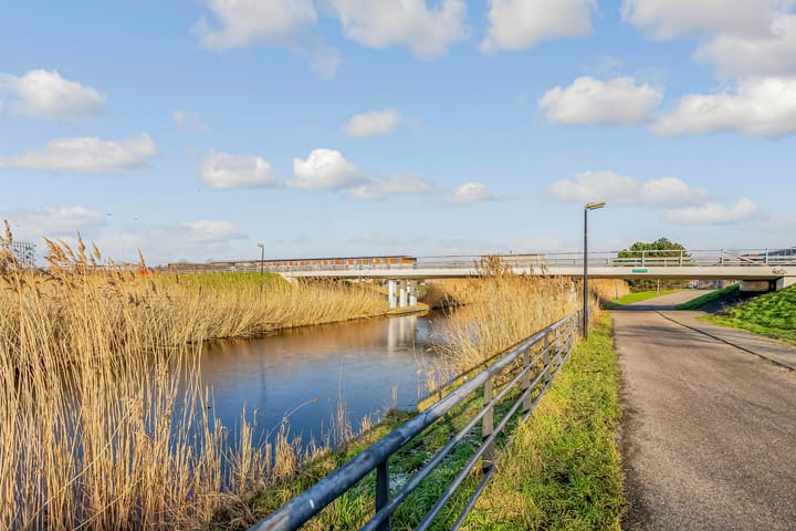 Foto 28 van Sepiastraat 4