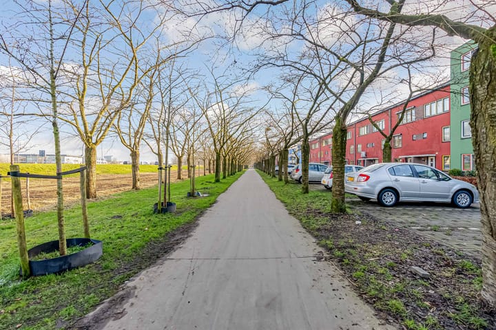 Foto 29 van Sepiastraat 4